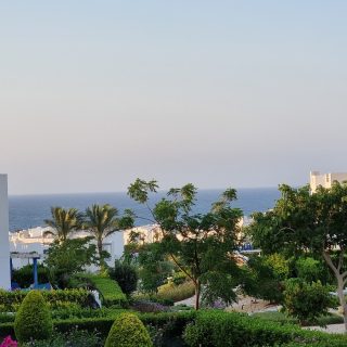 Mountain View Diplomats North Coast