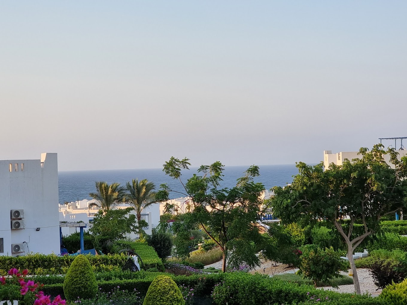 Mountain View Diplomats North Coast