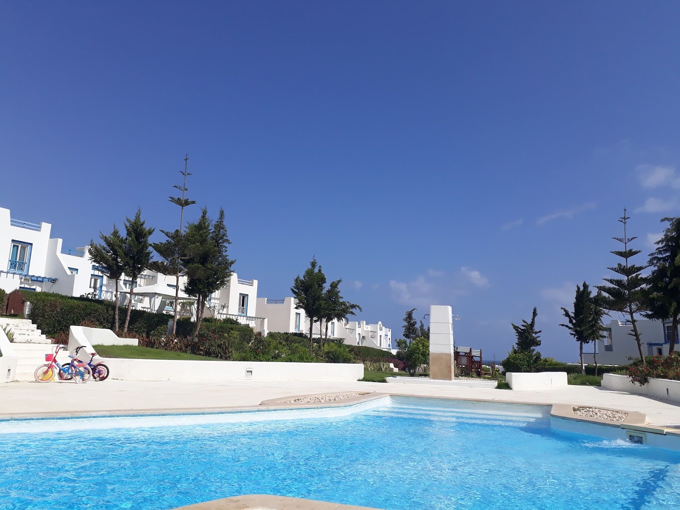 Mountain View Diplomats North Coast