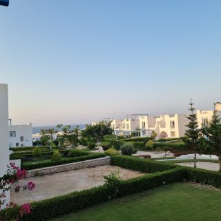 Mountain View Diplomats North Coast