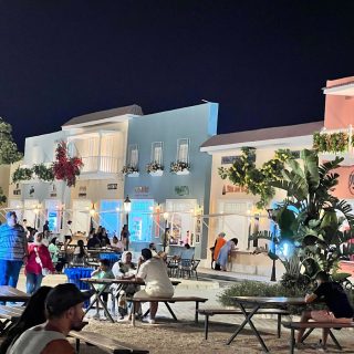 Lake Yard North Coast Palm Hills