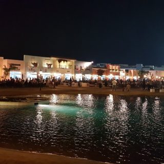 Lake Yard North Coast Palm Hills