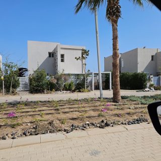 Lake Yard North Coast Palm Hills