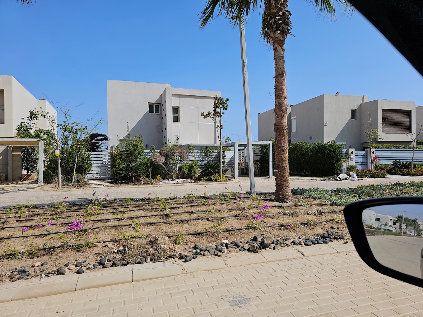 Lake Yard North Coast Palm Hills