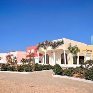 Lake Yard North Coast Palm Hills