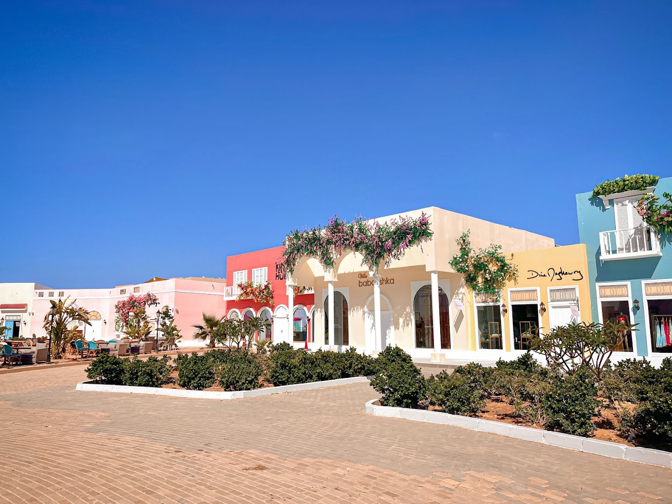 Lake Yard North Coast Palm Hills