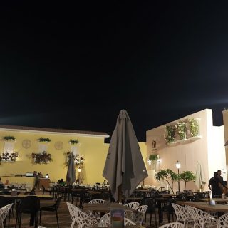 Lake Yard North Coast Palm Hills