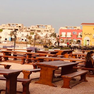 Lake Yard North Coast Palm Hills