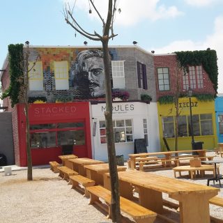 Lake Yard North Coast Palm Hills