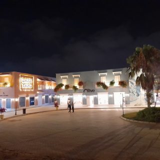 Lake Yard North Coast Palm Hills