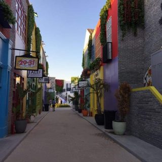 Lake Yard North Coast Palm Hills