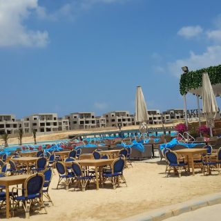 Lake Yard North Coast Palm Hills