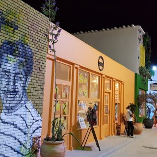 Lake Yard North Coast Palm Hills