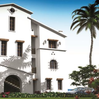 Mountain View Diplomats North Coast