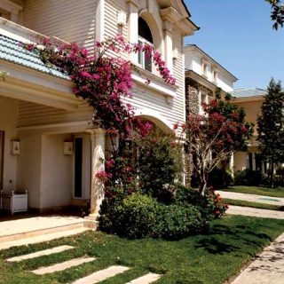 Mountain Park October Compound