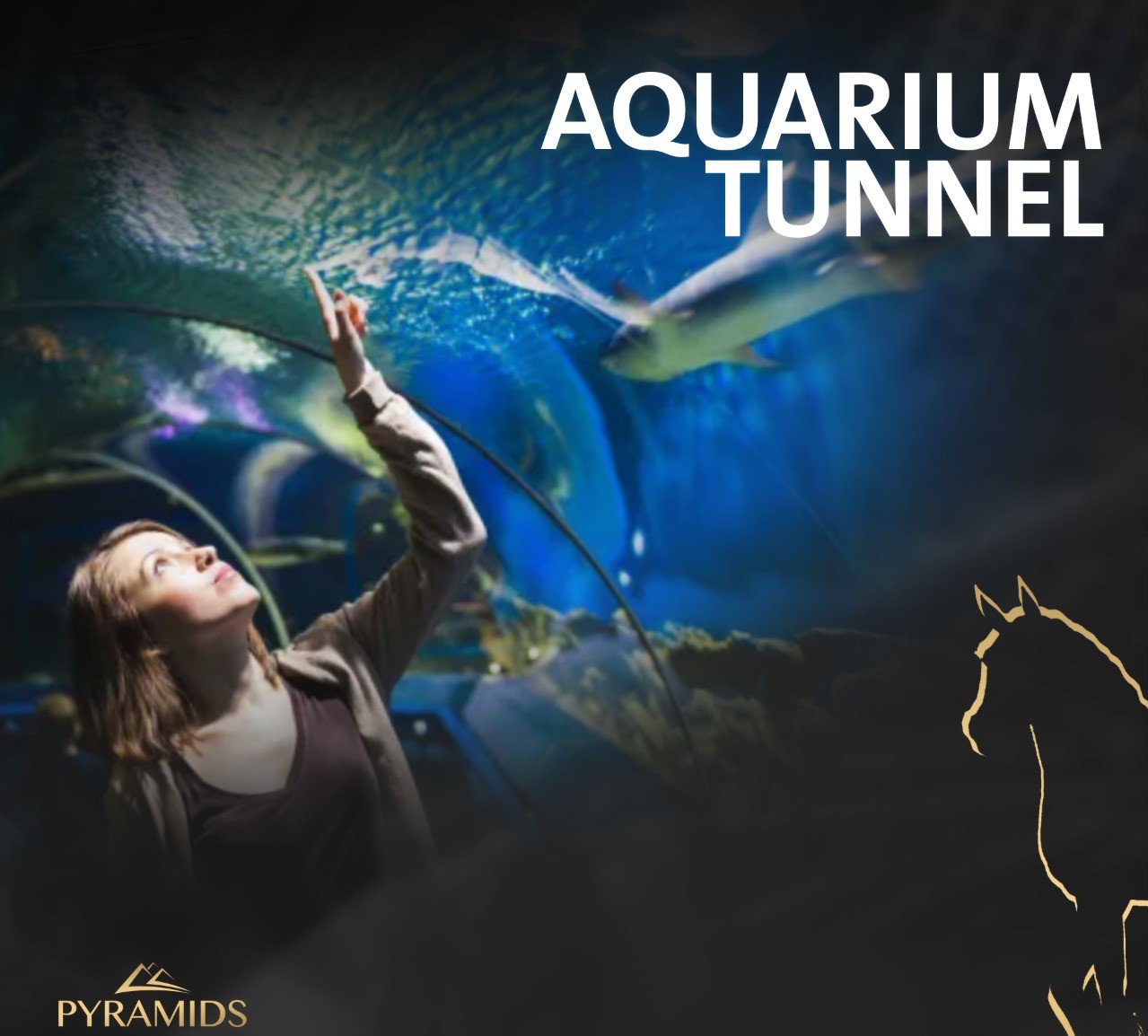 Pyramids Business City New Administrative Capital