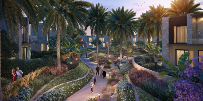 Silva El Sheikh Zayed First Group