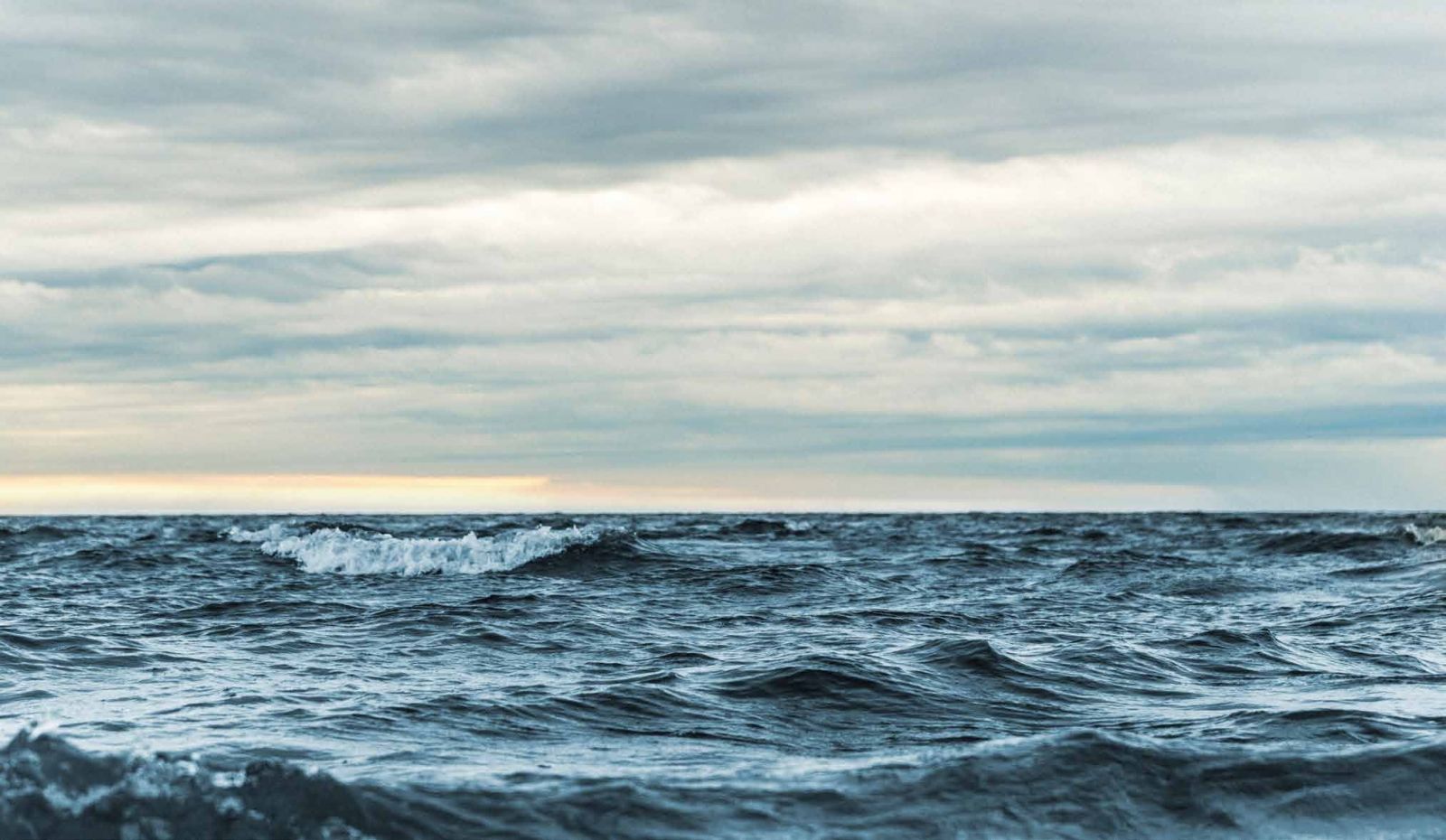 احجز وحدة بمساحة 50 متر في أبراج العلمين الجديدة