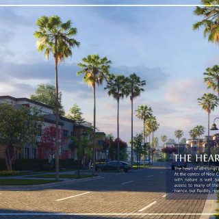 Azzar North Coast Reedy Group