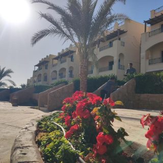 La Sirena Palm Beach Resort Ain Sokhna