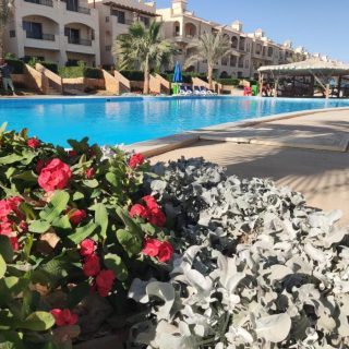 La Sirena Palm Beach Resort Ain Sokhna