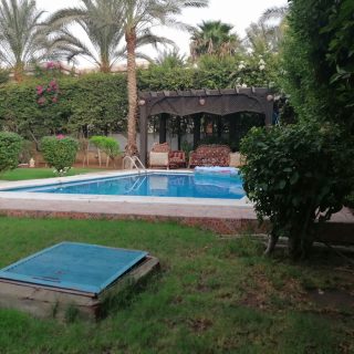 Nyoum Pyramids Compound Arab Developers