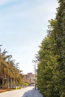 Ashgar City October Compound by IGI