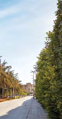 Ashgar City October Compound by IGI