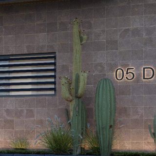 Vaha New Zayed Compound AlKarma Development