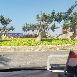 قرية هاسيندا ريد الساحل الشمالي بالم هيلز – Hacienda Red North Coast Village