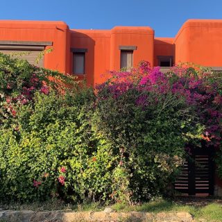 قرية هاسيندا ريد الساحل الشمالي بالم هيلز – Hacienda Red North Coast Village