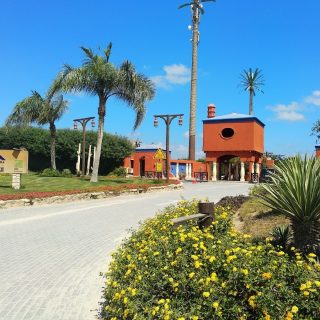 قرية هاسيندا ريد الساحل الشمالي بالم هيلز – Hacienda Red North Coast Village