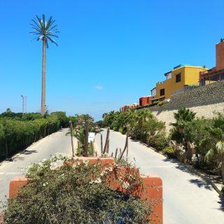 قرية هاسيندا ريد الساحل الشمالي بالم هيلز – Hacienda Red North Coast Village