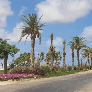 Hacienda Heneish Village North Caost Palm Hills