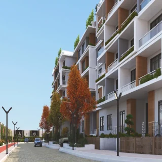 Via El Shiekh Zayed Compound Eagles Development