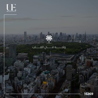 Oasis Medical Center Nasr City Mall EU Development