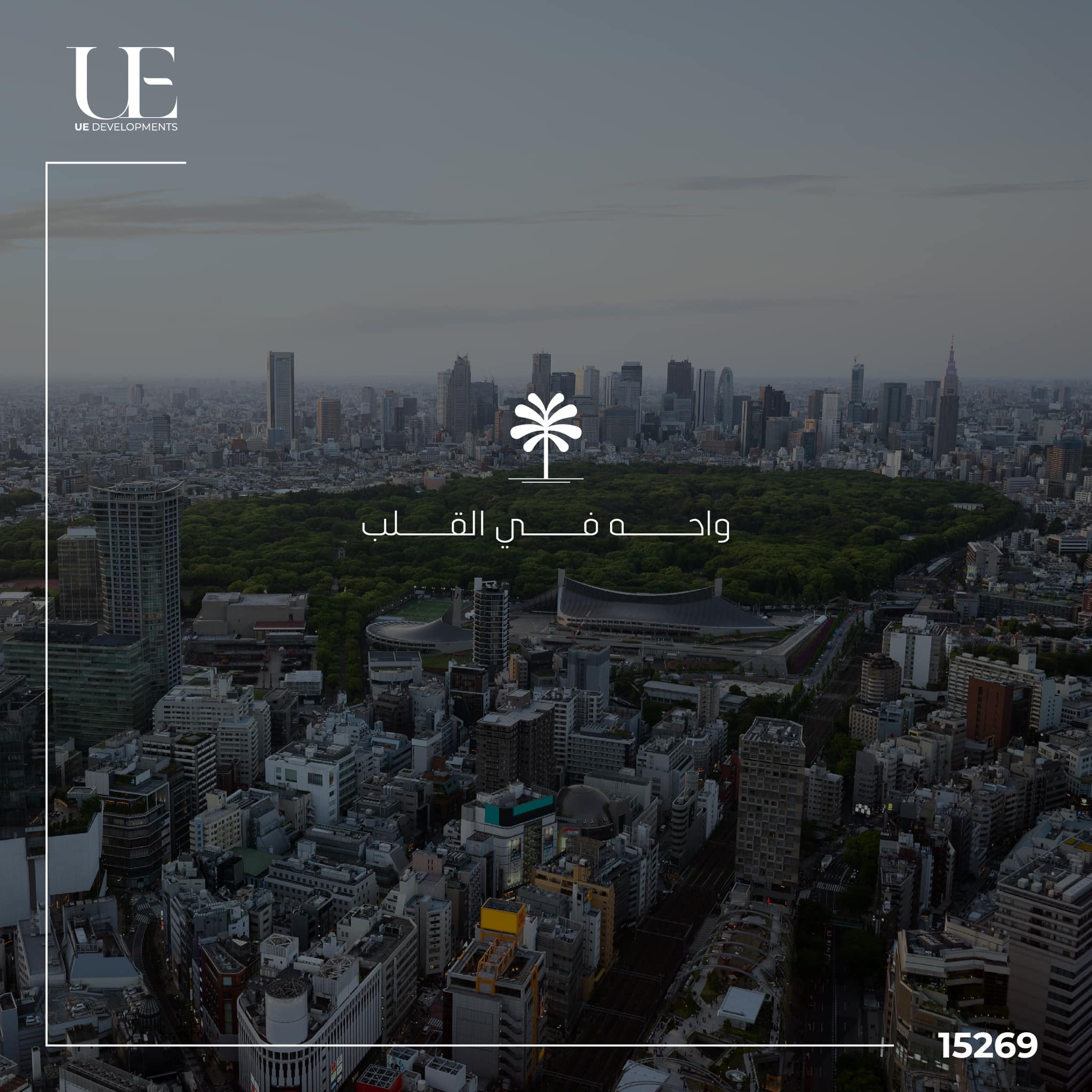 Oasis Medical Center Nasr City Mall EU Development