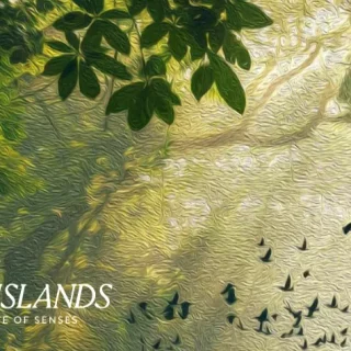 كمبوند ذا ايلاند العاصمة الإدارية الجديدة إيجي جاب للتطوير العقاري – The Island New Capital Compound