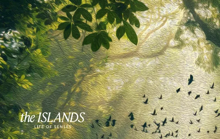 The Island New Capital Compound EGYGAB Developments