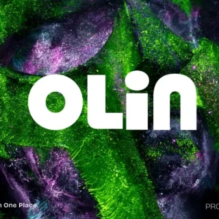 مول أولين التجمع الخامس ماس للتطوير والاستثمار العقاري – Olin New Cairo Mall